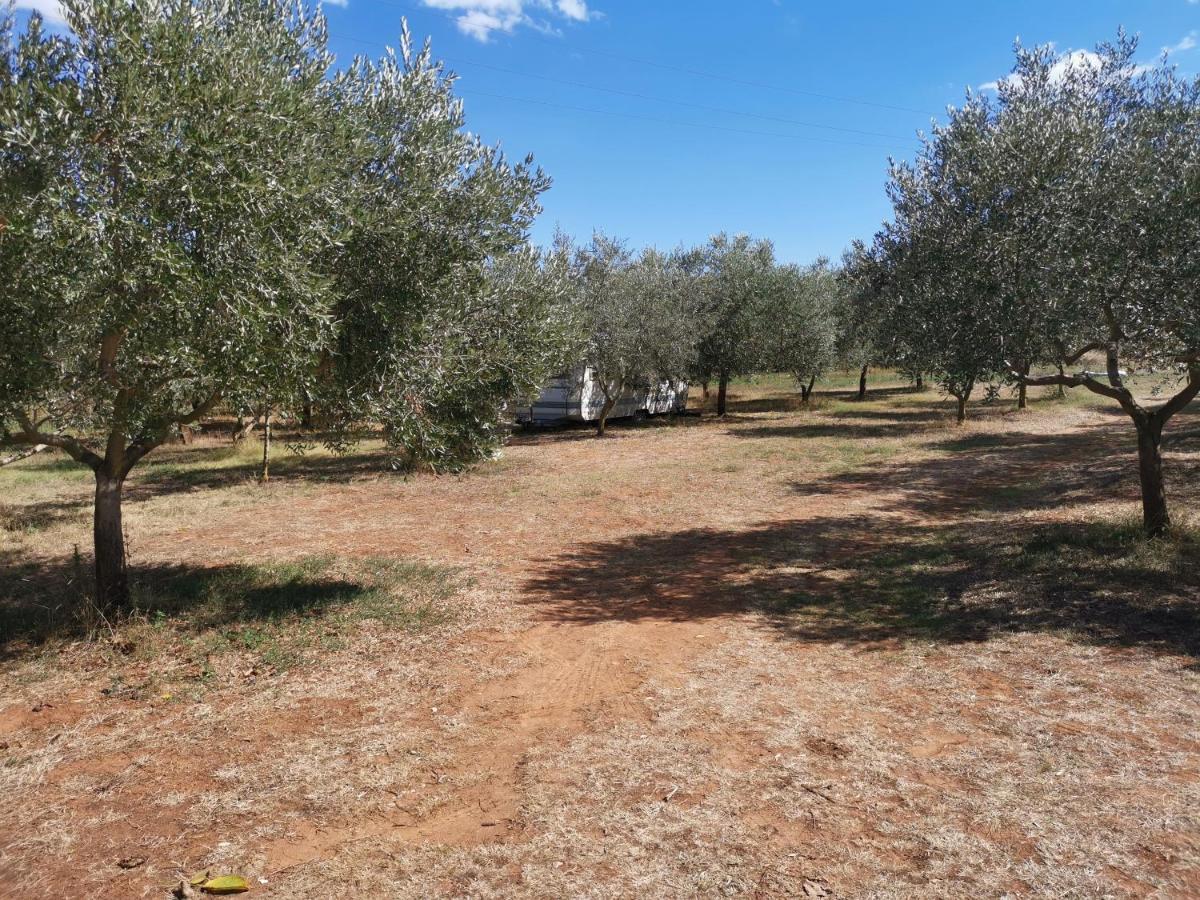 فندق Camper For Two بنجول المظهر الخارجي الصورة