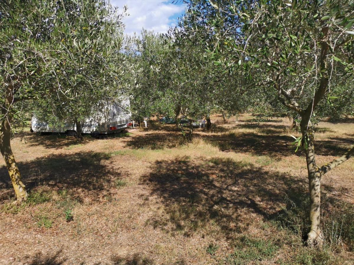 فندق Camper For Two بنجول المظهر الخارجي الصورة